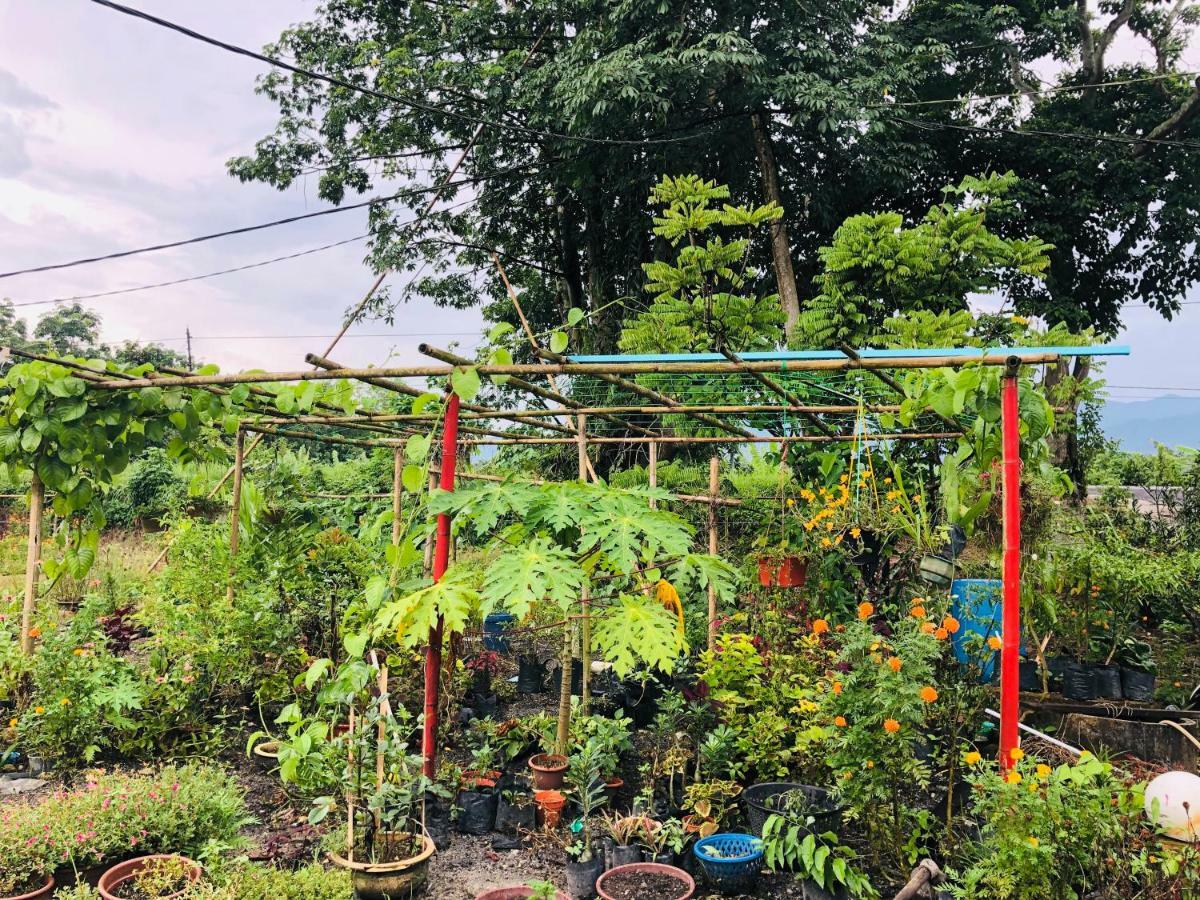 Atocha Homestay - Terong@Taiping Kampong Salak ภายนอก รูปภาพ